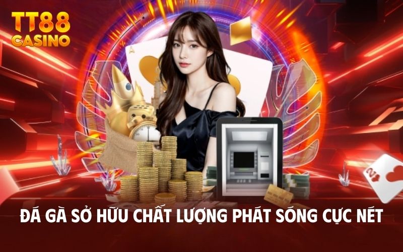 Trang Chủ 5 Đá gà sở hữu chất lượng phát sóng cực nét